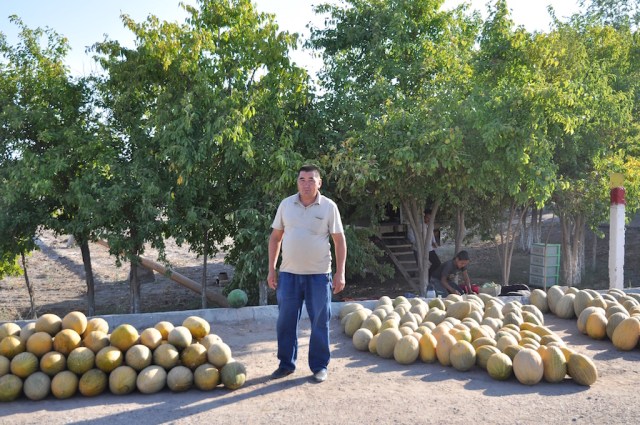 Melonenhalt im Nirgendwo
